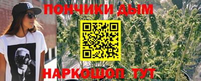 шишки Будённовск