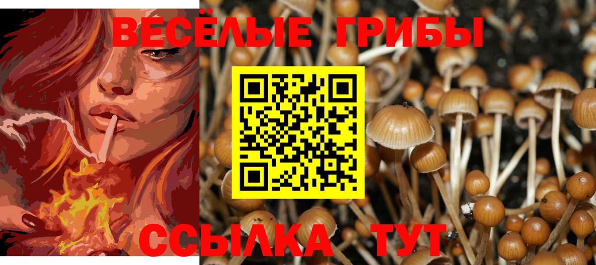 Тейково  Псилоцибиновые грибы GOLDEN TEACHER  Галлюциногенные грибы MAGIC MUSHROOMS  Вход с VPN 